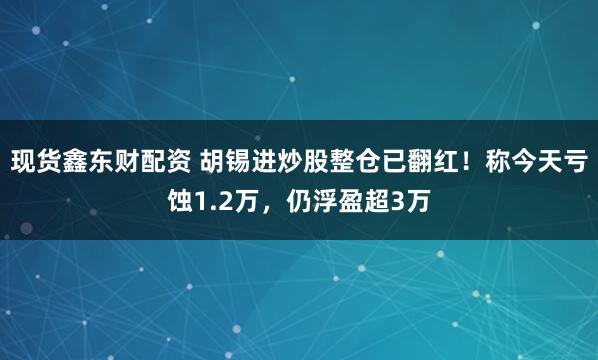 现货鑫东财配资 胡锡进炒股整仓已翻红！称今天亏蚀1.2万，仍浮盈超3万